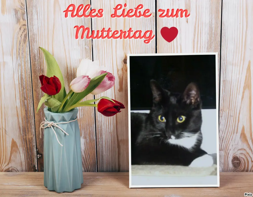 Andachtsbild von Tanja mit Timmy im Herzen 