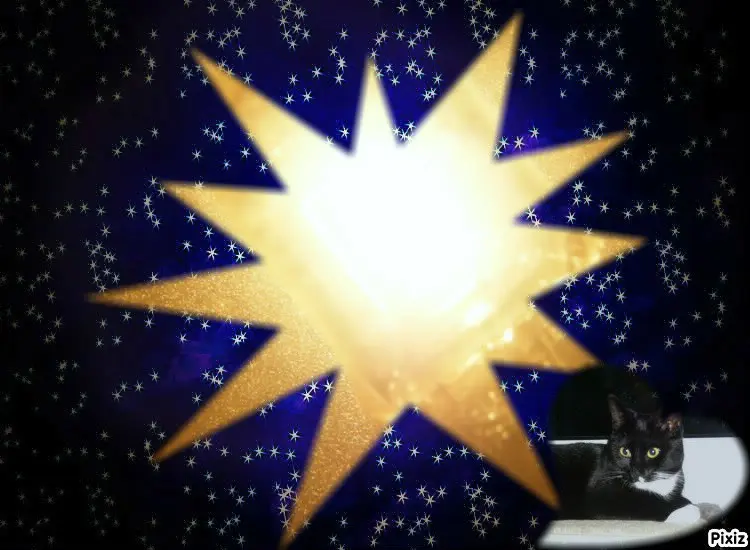 Andachtsbild von Tanja mit Timmy im Herzen 