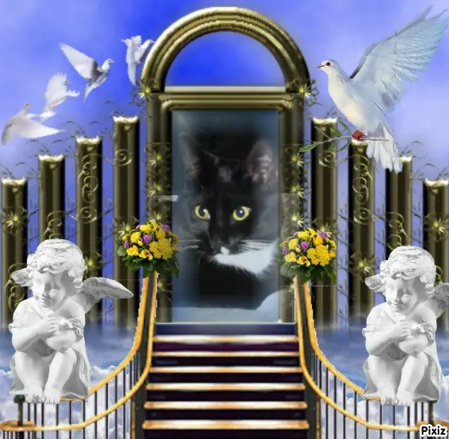 Andachtsbild von Tanja mit Timmy im Herzen 