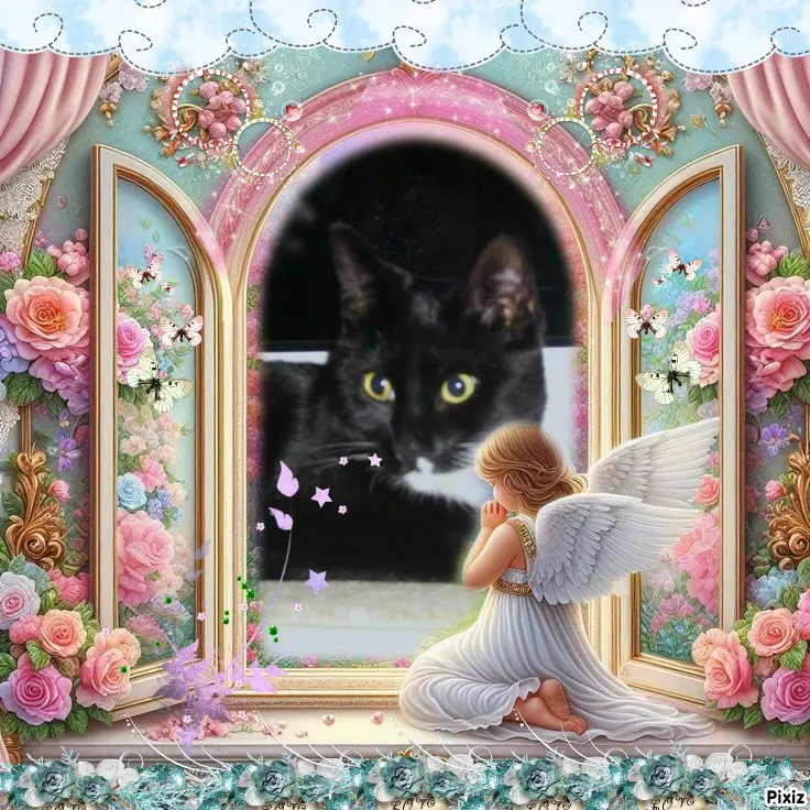 Andachtsbild von Tanja mit Timmy im Herzen 