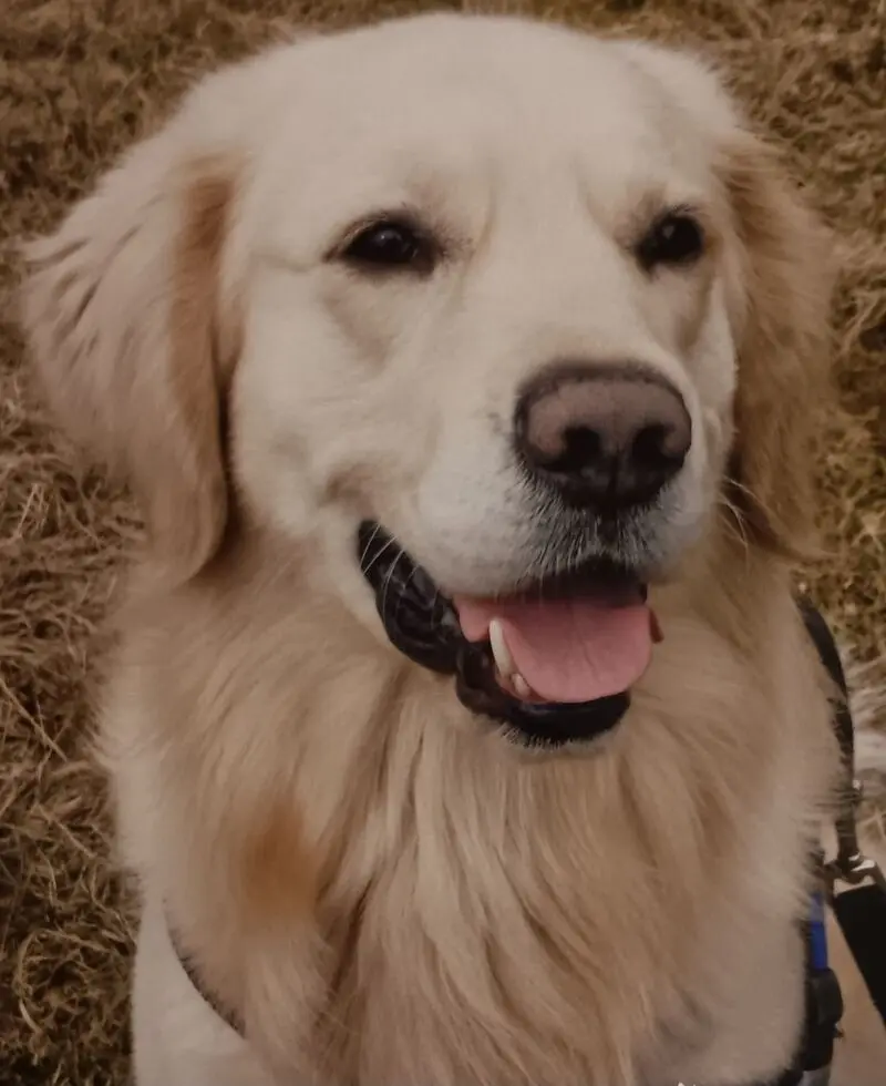 Andachtsbild von Claudia mit ASKO♥️ 