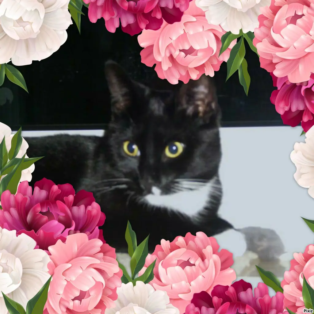 Andachtsbild von Tanja mit Timmy im Herzen 