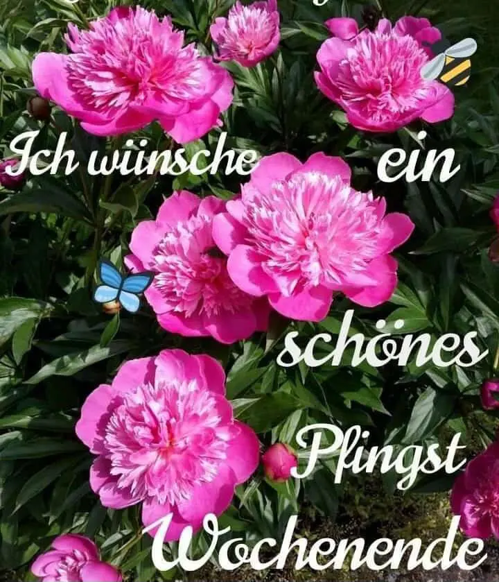 Andachtsbild von Claudia mit ASKO♥️ 