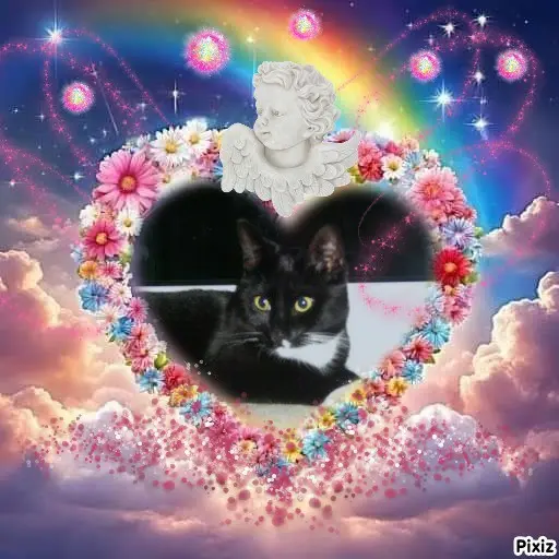 Andachtsbild von Tanja mit Timmy im Herzen 