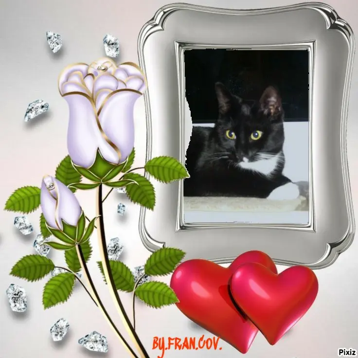 Andachtsbild von Tanja mit Timmy im Herzen 