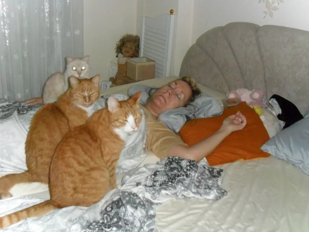 Andachtsbild von Beate mit Elvis im Herzen ❤