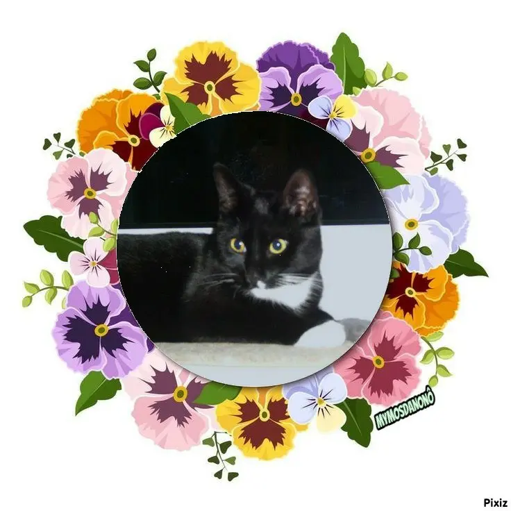 Andachtsbild von Tanja mit Timmy im Herzen 