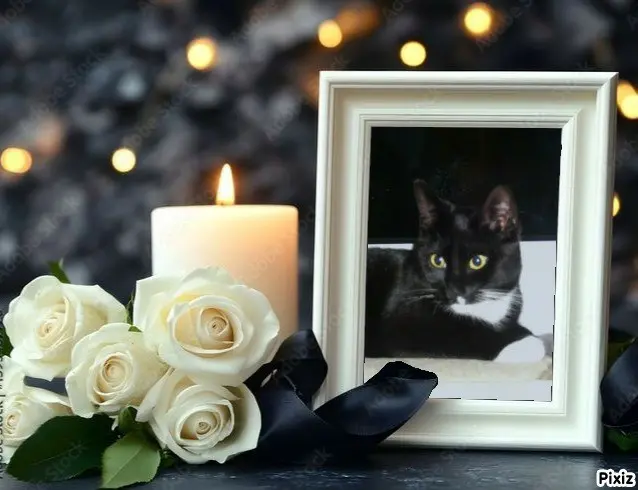 Andachtsbild von Tanja mit Timmy im Herzen 