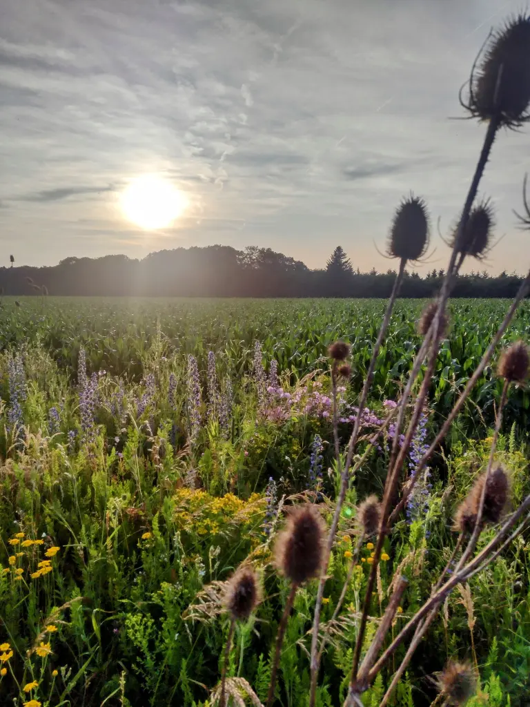 Andachtsbild von Corinna ♥️