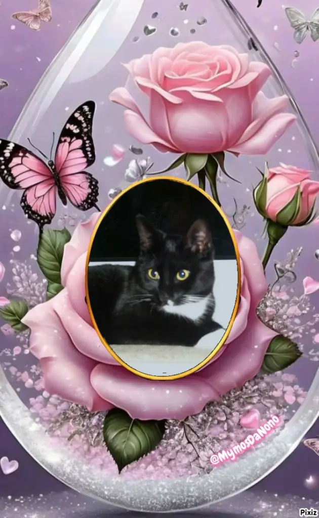 Andachtsbild von Tanja mit Timmy im Herzen 