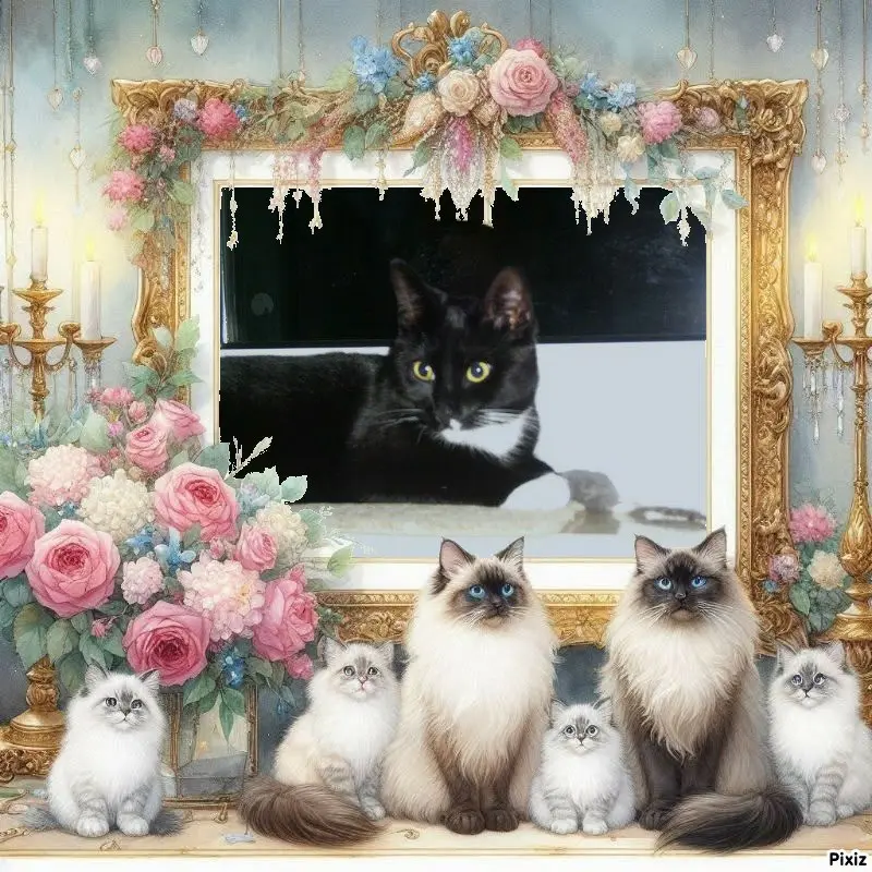 Andachtsbild von Tanja mit Timmy im Herzen 