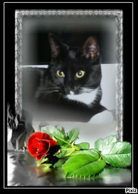 Andachtsbild von Tanja mit Timmy im Herzen 