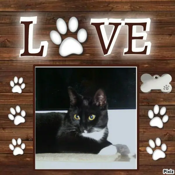 Andachtsbild von Tanja mit Timmy im Herzen 