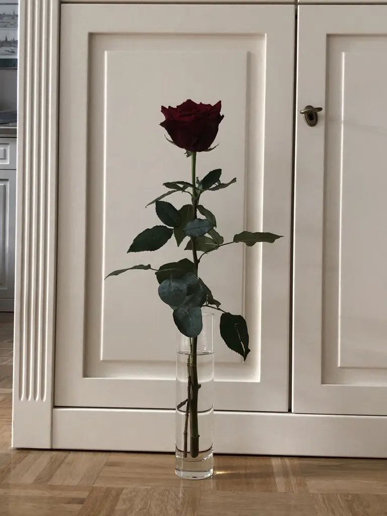 Andachtsbild von ❤️ Wochenendgrüße ins Regenbogenland ❤️