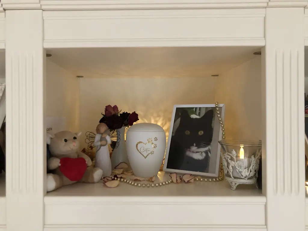 Andachtsbild von ✨ Abendgrüße ins Regenbogenland ✨