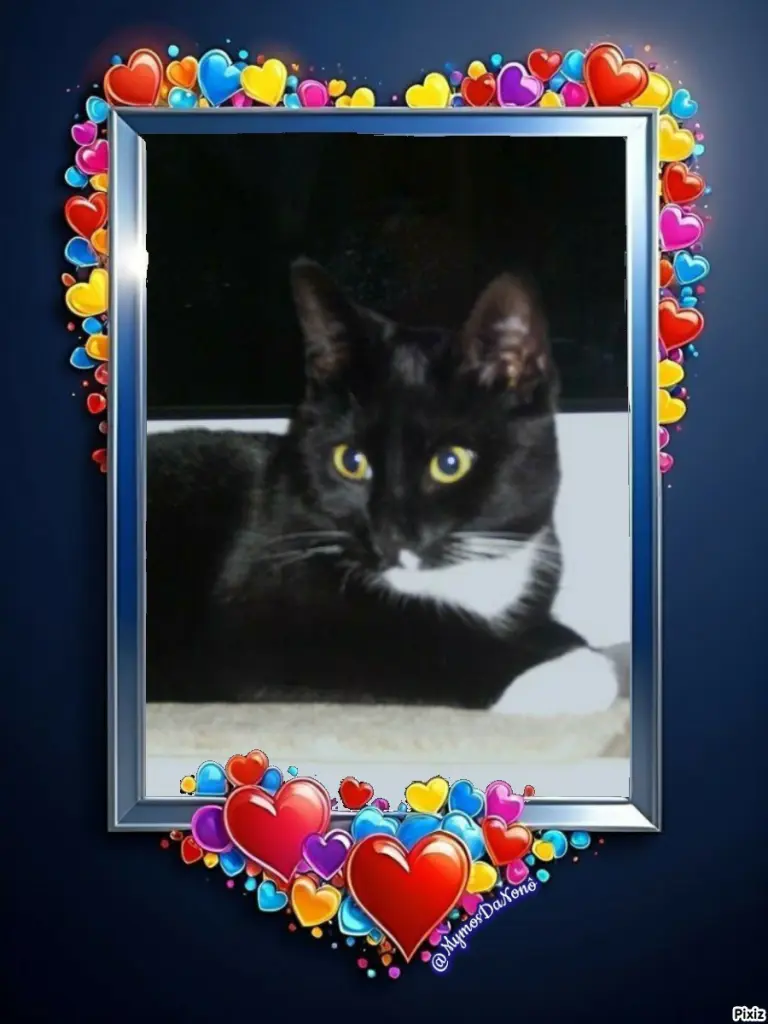 Andachtsbild von Tanja mit Timmy im Herzen 