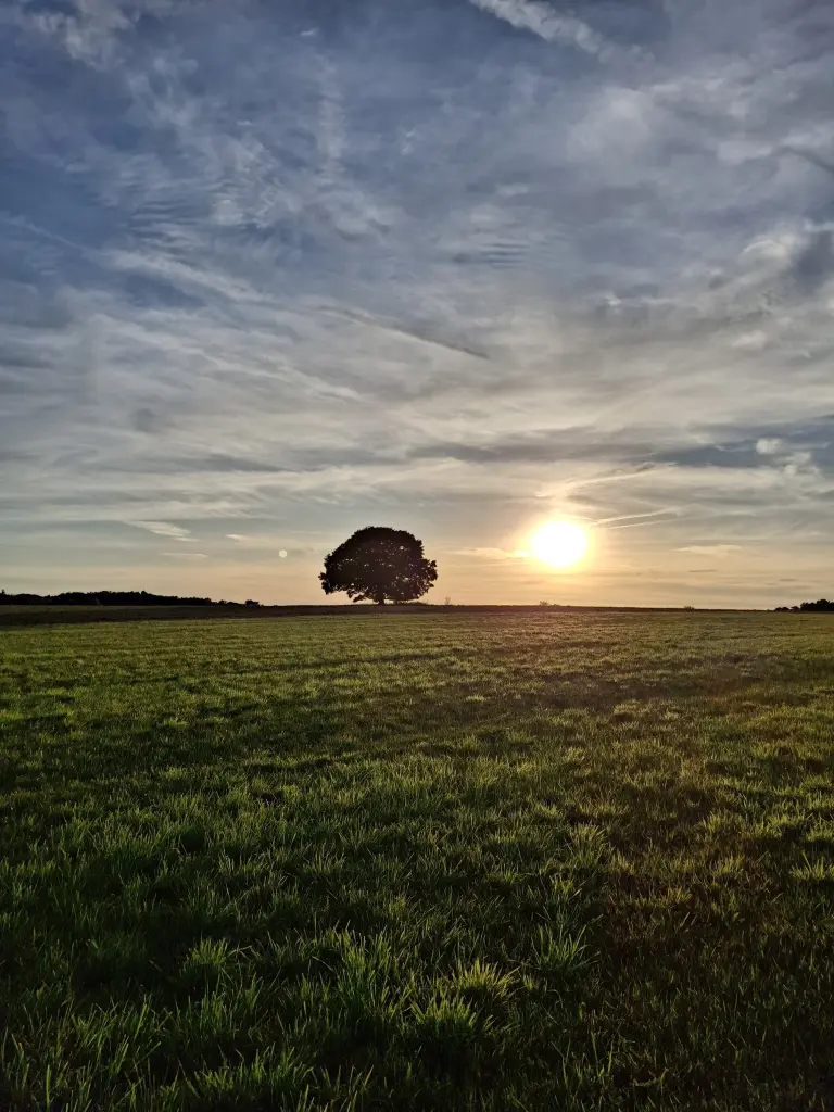 Andachtsbild von Corinna ♥️