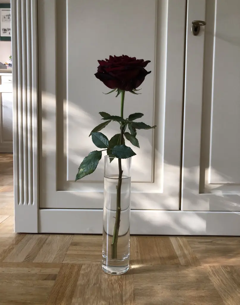 Andachtsbild von ❤️ Wochenendgrüße ins Regenbogenland ❤️