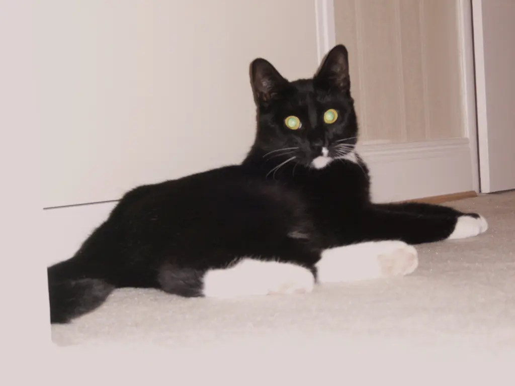 Andachtsbild von ❤️ Mama ❤️