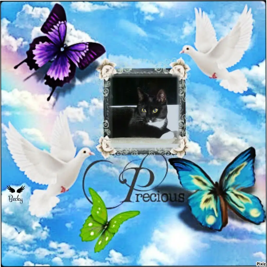 Andachtsbild von Tanja mit Timmy im Herzen