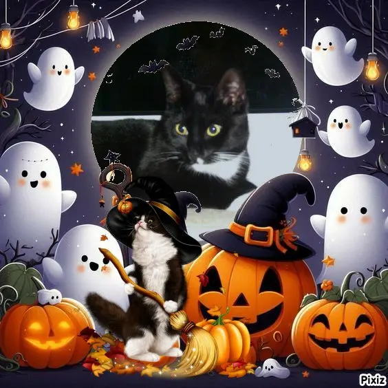 Andachtsbild von Tanja mit Timmy im 💕