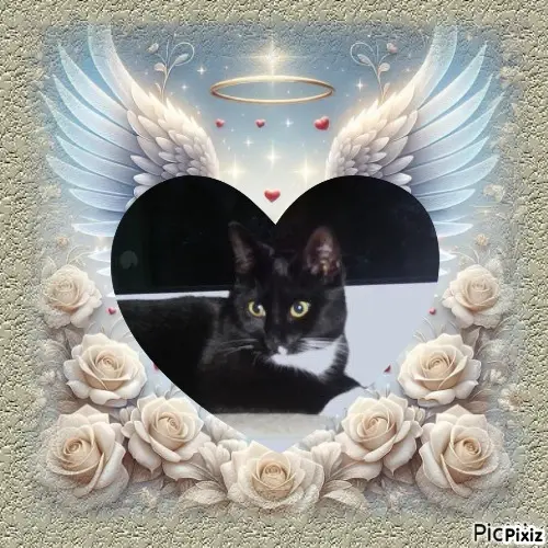 Andachtsbild von Tanja mit Timmy im 💘