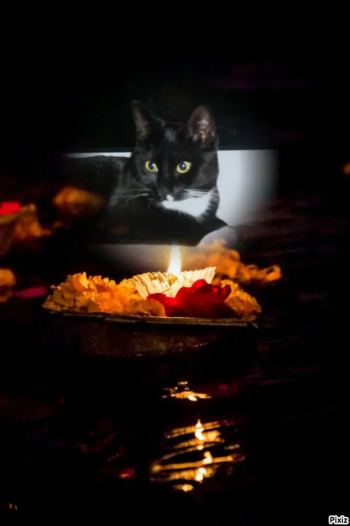 Andachtsbild von Tanja mit Timmy im 💘