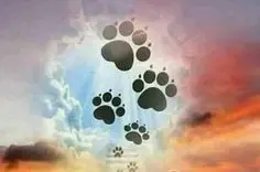 Andachtsbild von Gute Nacht ✨🌛🌟💫