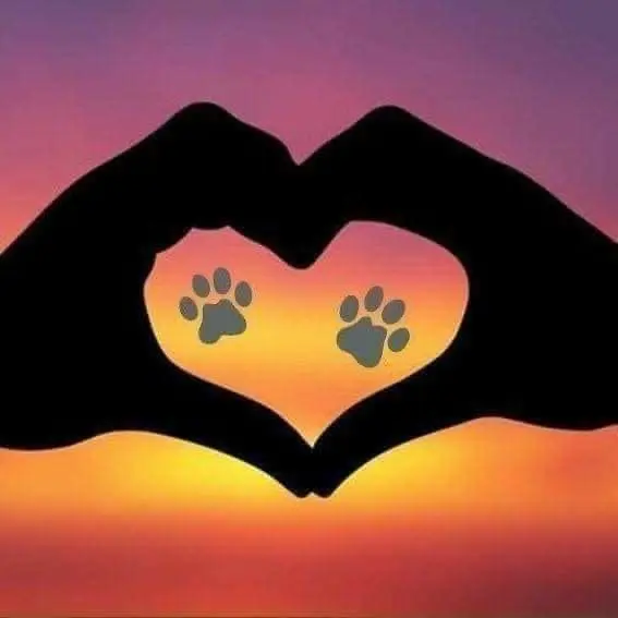 Andachtsbild von ღ꧁꧂ ღ╭⊱༺❤️ Wochenendgrüße ins Regenbogenland ❤️༻ ⊱╮ღ ꧁꧂ღ