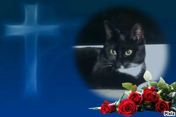 Andachtsbild von Tanja mit Timmy im 💘