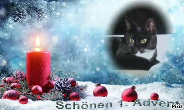 Andachtsbild von Tanja mit Timmy im 💘