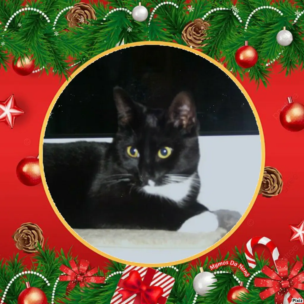 Andachtsbild von Tanja mit Timmy im 💘