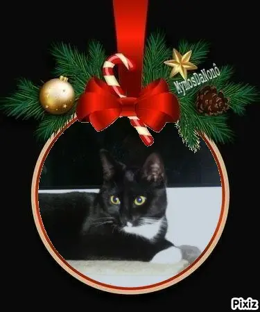 Andachtsbild von Tanja mit Timmy im 💘