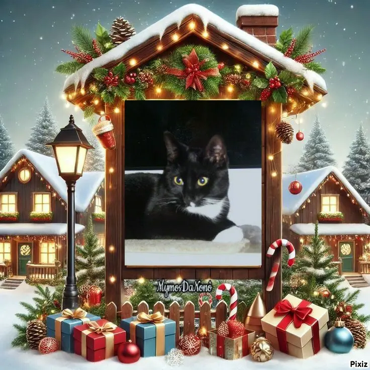 Andachtsbild von Tanja mit Timmy im 💘