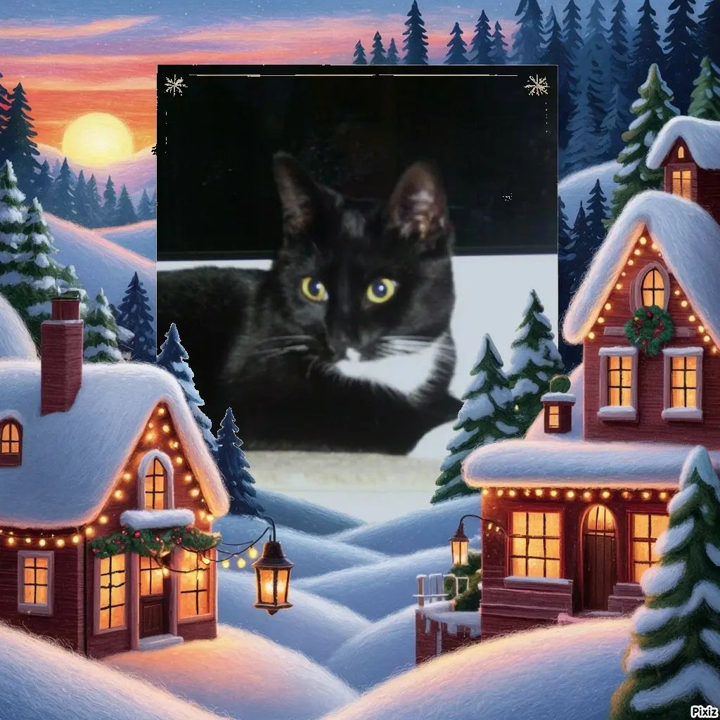 Andachtsbild von Tanja mit Timmy im 💘🐈🐾