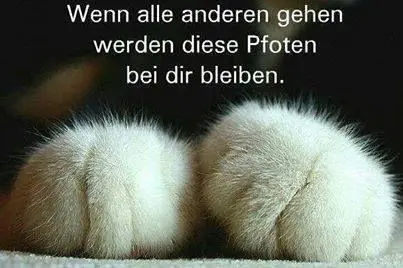 Andachtsbild von von ❤️