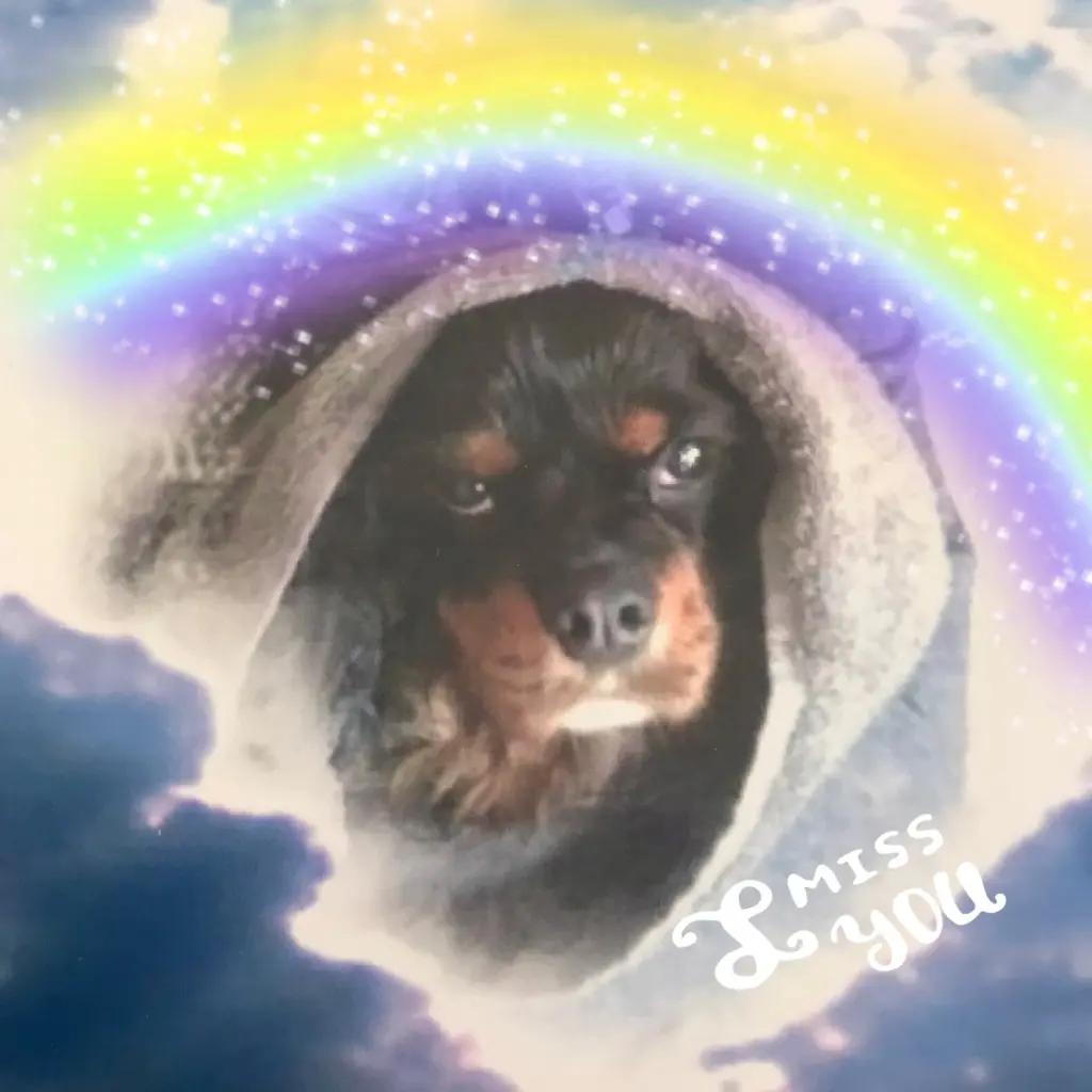 Andachtsbild von Daniela