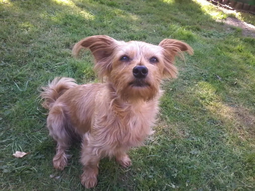 Andachtsbild von Martina Knust