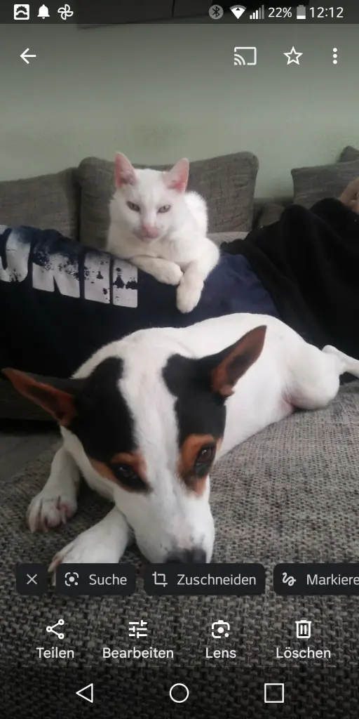 Andachtsbild von Anja&Carsten mit Spot-Simba im Herzen