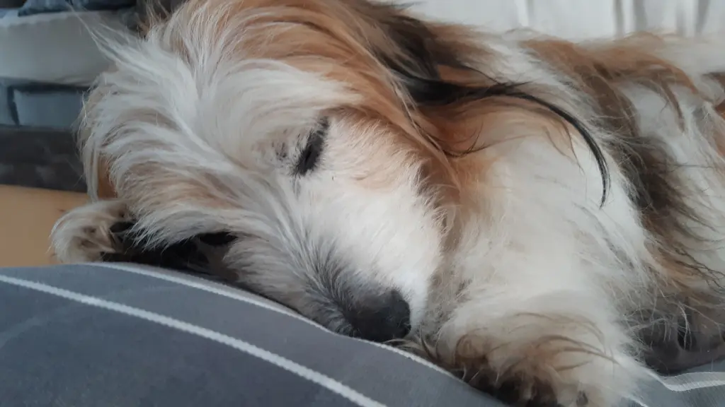 Andachtsbild von Christiane