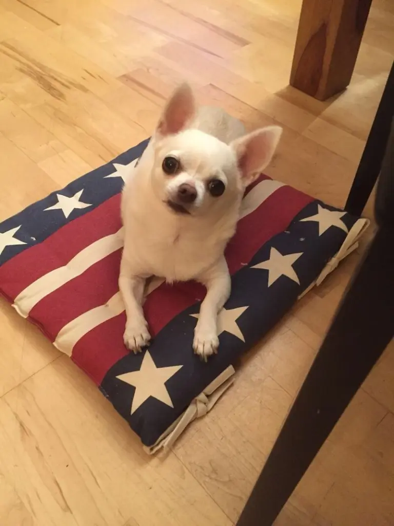 Andachtsbild von Silke und Armin mit Ilay im Herzen