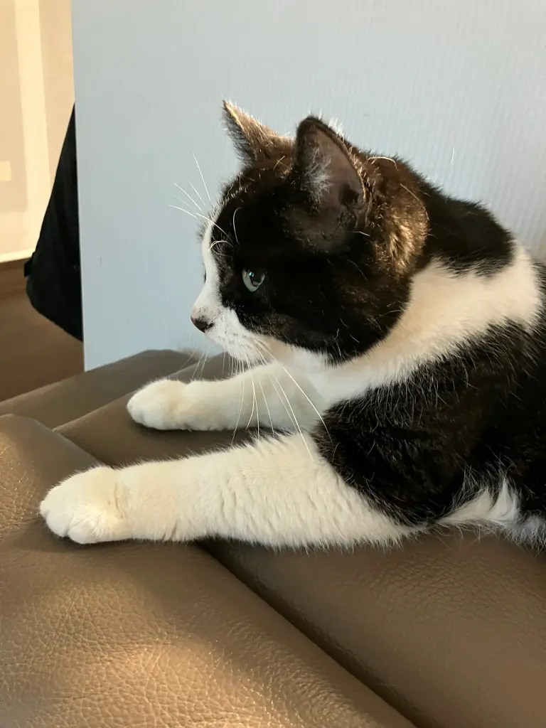 Condolence image of Oma Lotti und Susanne mit Lilly im Herzen