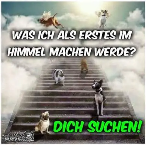 Condolence image of Elke