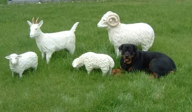 Condolence image of Elke