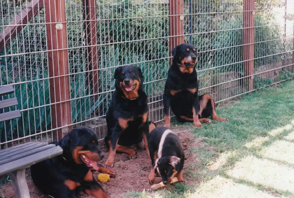 Condolence image of Elke