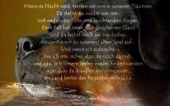 Condolence image of Elke