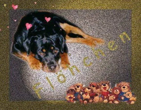 Condolence image of Elke