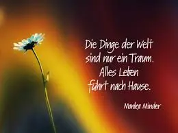 Condolence image of Helmut mit Benny im Herzen, verstorben 20210