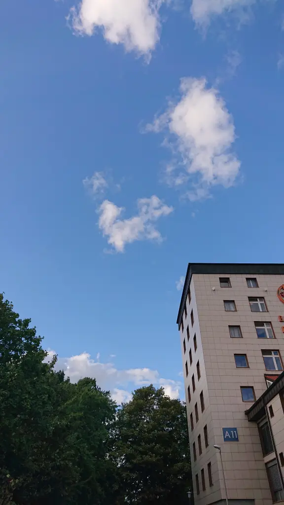 Bild von Fussel