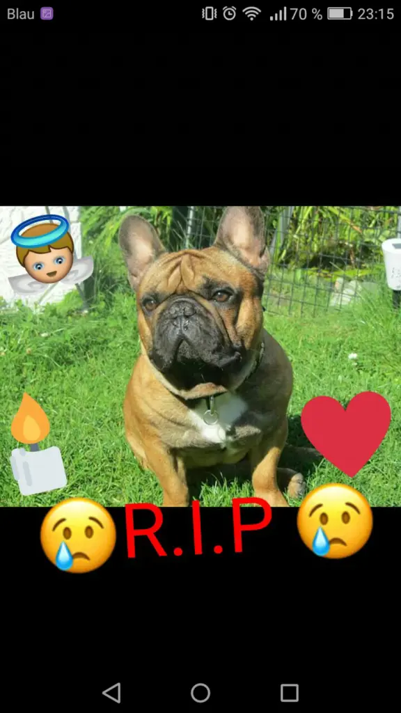 Condolence image of Nicole